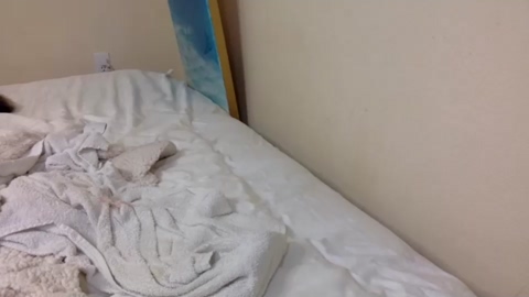 mynightjobaccount  16-03-2023